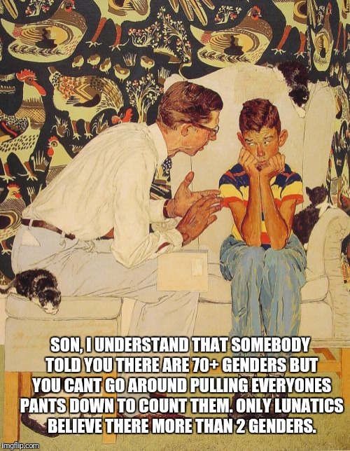 The Problem Is | SON, I UNDERSTAND THAT SOMEBODY TOLD YOU THERE ARE 70+ GENDERS BUT YOU CANT GO AROUND PULLING EVERYONES PANTS DOWN TO COUNT THEM. ONLY LUNATICS BELIEVE THERE MORE THAN 2 GENDERS. | image tagged in memes,the probelm is | made w/ Imgflip meme maker