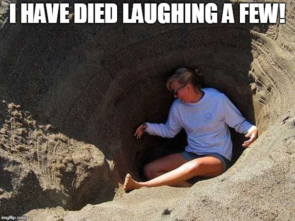 in a hole | I HAVE DIED LAUGHING A FEW! | image tagged in in a hole | made w/ Imgflip meme maker