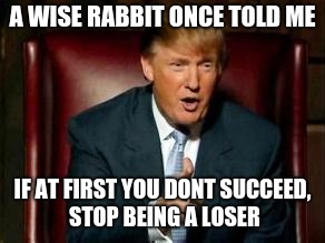Donald Trump | A WISE RABBIT ONCE TOLD ME; IF AT FIRST YOU DONT SUCCEED, STOP BEING A LOSER | image tagged in donald trump | made w/ Imgflip meme maker