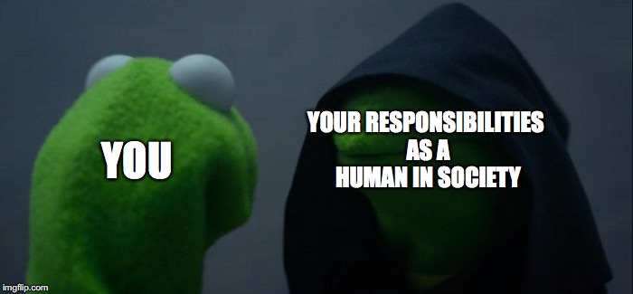 Evil Kermit Meme | YOUR RESPONSIBILITIES AS A HUMAN IN SOCIETY; YOU | image tagged in memes,evil kermit | made w/ Imgflip meme maker