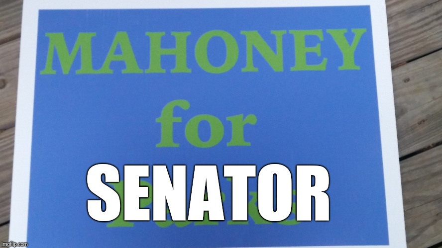 Mahoney for Senator | SENATOR | image tagged in political meme | made w/ Imgflip meme maker