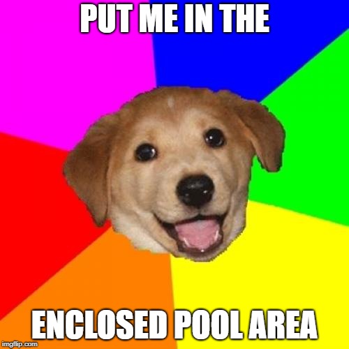Advice Dog Meme | PUT ME IN THE; ENCLOSED POOL AREA | image tagged in memes,advice dog | made w/ Imgflip meme maker