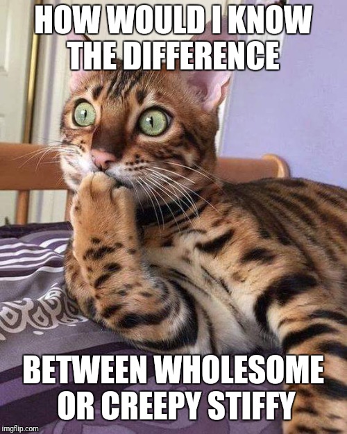 HOW WOULD I KNOW THE DIFFERENCE; BETWEEN WHOLESOME OR CREEPY STIFFY | image tagged in why,human why | made w/ Imgflip meme maker
