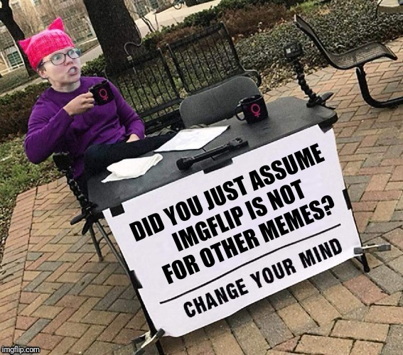 CHANGE YOUR MIND | DID YOU JUST ASSUME IMGFLIP IS NOT FOR OTHER MEMES? | image tagged in change your mind | made w/ Imgflip meme maker