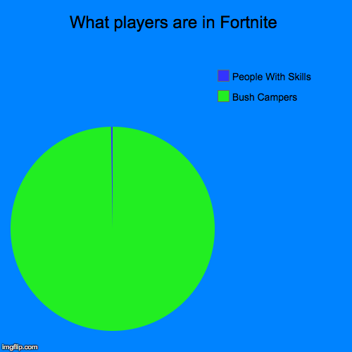 What players are in Fortnite | Bush Campers, People With Skills | image tagged in funny,pie charts,fortnite | made w/ Imgflip chart maker