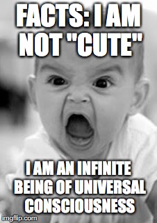 FACTS: I AM NOT "CUTE"; I AM AN INFINITE BEING OF UNIVERSAL CONSCIOUSNESS | image tagged in cute,cute baby,infinite being,spiritual,spirit,facts | made w/ Imgflip meme maker