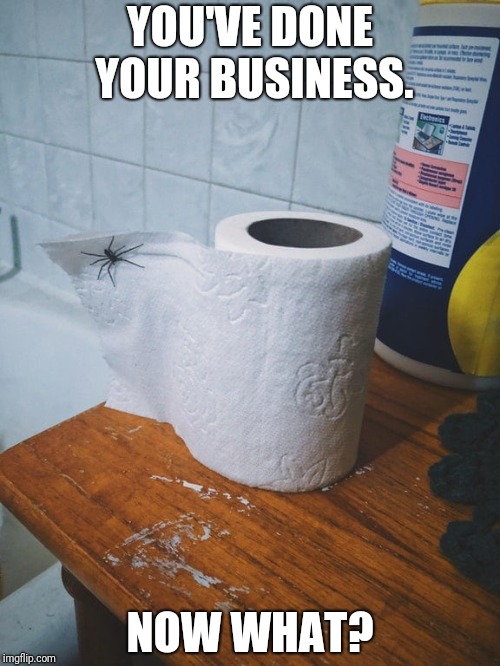 Checkmate  | YOU'VE DONE YOUR BUSINESS. NOW WHAT? | image tagged in spider,toilet paper | made w/ Imgflip meme maker