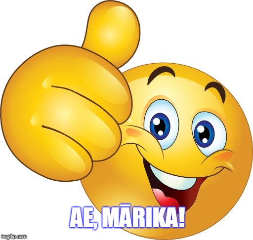 AE, MĀRIKA! | image tagged in ae marika | made w/ Imgflip meme maker