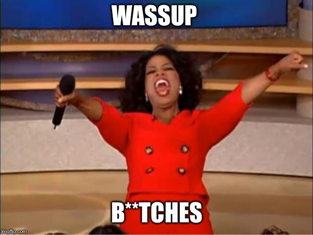 Oprah You Get A Meme | WASSUP; B**TCHES | image tagged in memes,oprah you get a | made w/ Imgflip meme maker