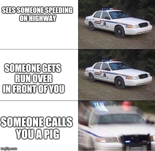 Police Car  | SEES SOMEONE SPEEDING ON HIGHWAY; SOMEONE GETS RUN OVER IN FRONT OF YOU; SOMEONE CALLS YOU A PIG | image tagged in police car | made w/ Imgflip meme maker