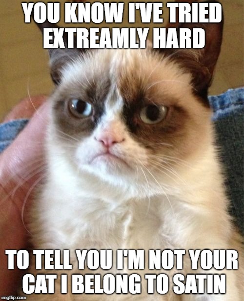 Grumpy Cat Meme | YOU KNOW I'VE TRIED EXTREAMLY HARD; TO TELL YOU I'M NOT YOUR CAT I BELONG TO SATIN | image tagged in memes,grumpy cat | made w/ Imgflip meme maker