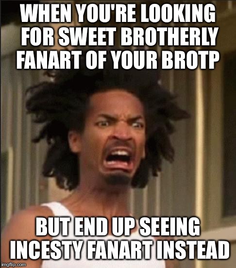 *sigh* HOW COULD THIS HAPPEN TO ME??! I MADE MY MISTAKES  | WHEN YOU'RE LOOKING FOR SWEET BROTHERLY FANART OF YOUR BROTP; BUT END UP SEEING INCESTY FANART INSTEAD | image tagged in disgusting | made w/ Imgflip meme maker