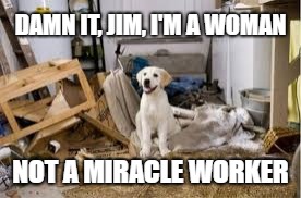 messy dog | DAMN IT, JIM, I'M A WOMAN; NOT A MIRACLE WORKER | image tagged in messy dog | made w/ Imgflip meme maker