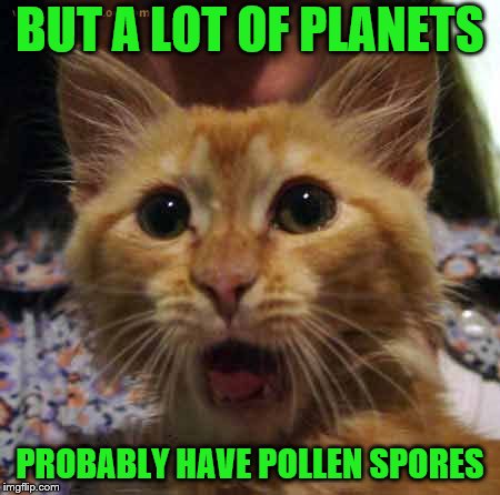 BUT A LOT OF PLANETS PROBABLY HAVE POLLEN SPORES | made w/ Imgflip meme maker