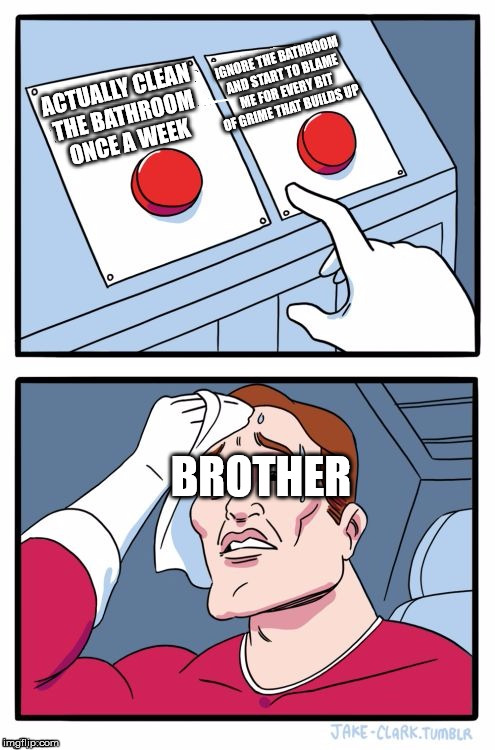 Big brothers are the worst | IGNORE THE BATHROOM AND START TO BLAME ME FOR EVERY BIT OF GRIME THAT BUILDS UP; ACTUALLY CLEAN THE BATHROOM ONCE A WEEK; BROTHER | image tagged in choice button | made w/ Imgflip meme maker