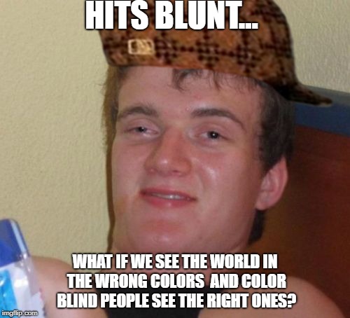 10 Guy Meme | HITS BLUNT... WHAT IF WE SEE THE WORLD IN THE WRONG COLORS  AND COLOR BLIND PEOPLE SEE THE RIGHT ONES? | image tagged in memes,10 guy,scumbag | made w/ Imgflip meme maker