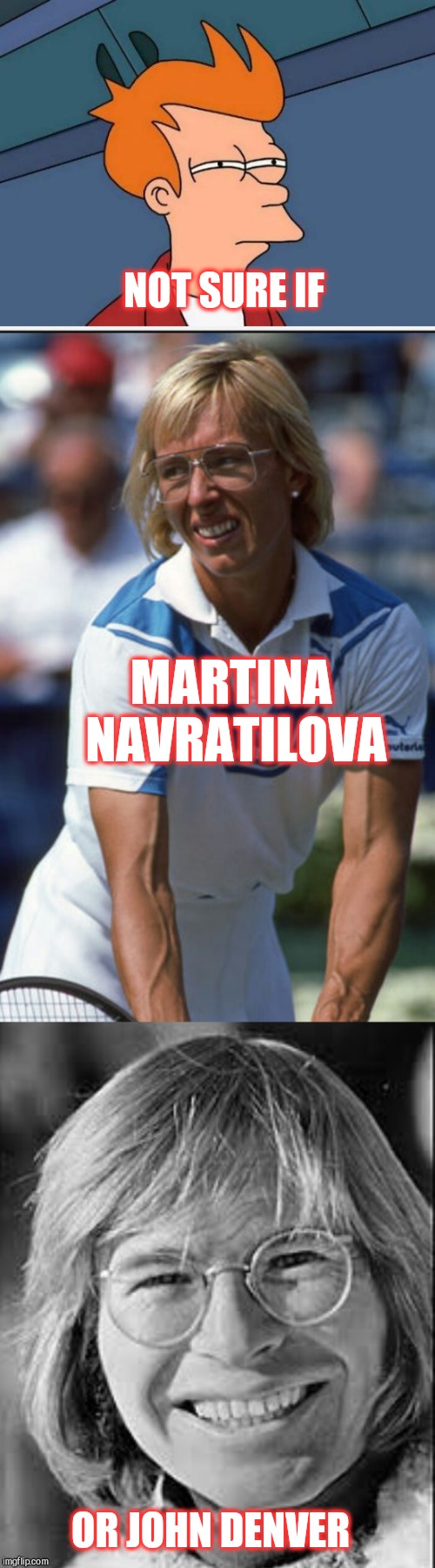 The resemblance is uncanny lol  | NOT SURE IF; MARTINA NAVRATILOVA; OR JOHN DENVER | image tagged in john denver,martina navratilova,jbmemegeek,memes,tennis | made w/ Imgflip meme maker