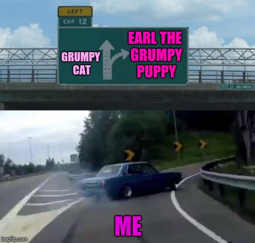 Left Exit 12 Off Ramp Meme | EARL THE GRUMPY PUPPY; GRUMPY CAT; ME | image tagged in memes,left exit 12 off ramp | made w/ Imgflip meme maker