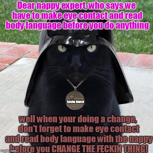 Darth Vader Calypso | Dear nappy expert, who says we have to make eye contact and read body language before you do anything; Leelo Jewel; well when your doing a change, don't forget to make eye contact and read body language with the nappy before you CHANGE THE FECKIN THING! | image tagged in darth vader calypso | made w/ Imgflip meme maker