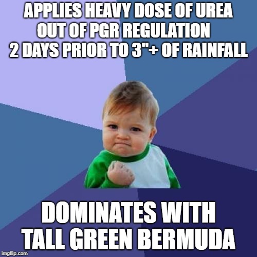 Success Kid Meme | APPLIES HEAVY DOSE OF UREA OUT OF PGR REGULATION
    2 DAYS PRIOR TO 3"+ OF RAINFALL; DOMINATES WITH TALL GREEN BERMUDA | image tagged in memes,success kid | made w/ Imgflip meme maker