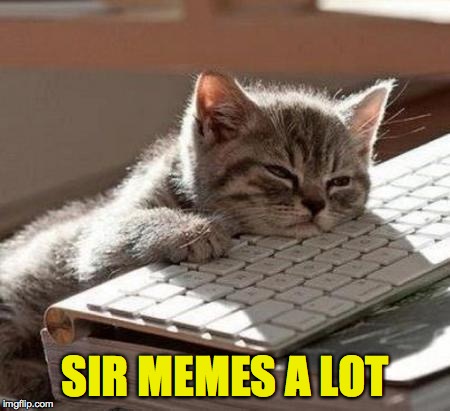 SIR MEMES A LOT | made w/ Imgflip meme maker