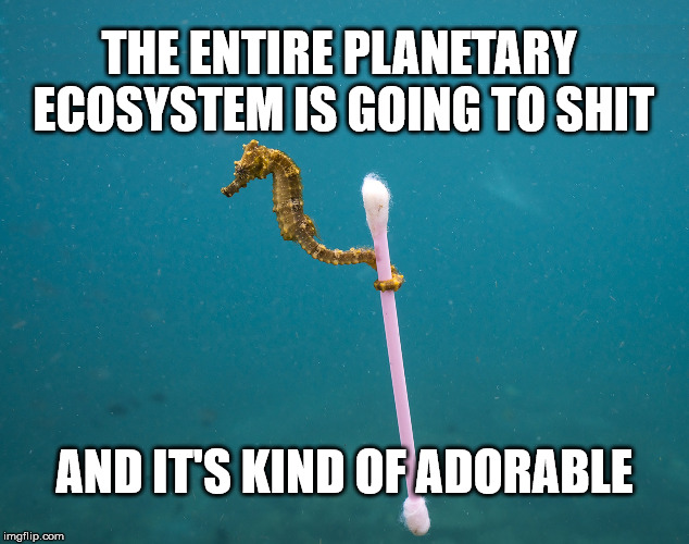 THE ENTIRE PLANETARY ECOSYSTEM IS GOING TO SHIT; AND IT'S KIND OF ADORABLE | image tagged in environment,garbage,meme | made w/ Imgflip meme maker
