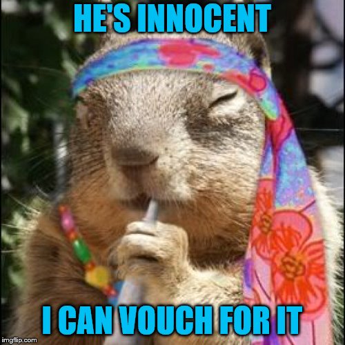 HE'S INNOCENT I CAN VOUCH FOR IT | made w/ Imgflip meme maker