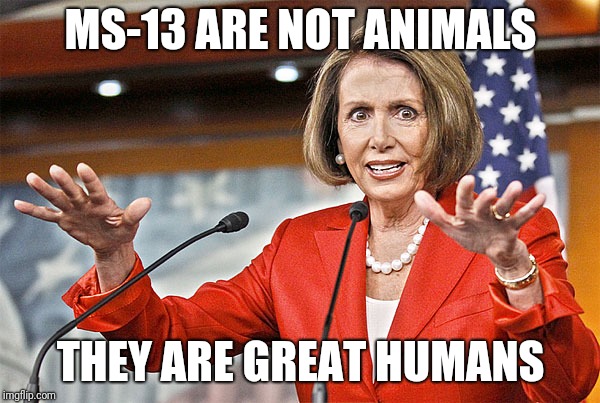Nancy Pelosi is crazy | MS-13 ARE NOT ANIMALS; THEY ARE GREAT HUMANS | image tagged in nancy pelosi is crazy | made w/ Imgflip meme maker