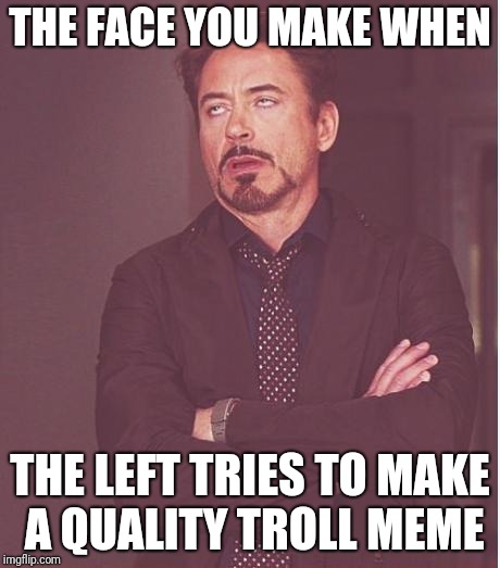 Face You Make Robert Downey Jr Meme | THE FACE YOU MAKE WHEN; THE LEFT TRIES TO MAKE A QUALITY TROLL MEME | image tagged in memes,face you make robert downey jr | made w/ Imgflip meme maker