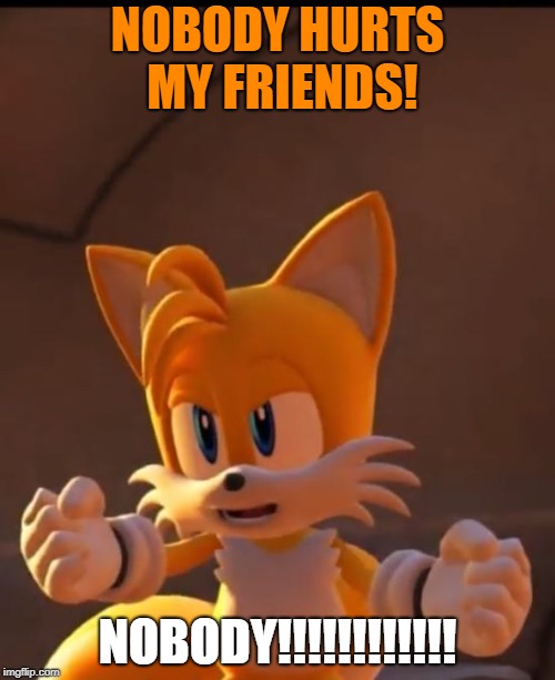 Forces Tails | NOBODY HURTS MY FRIENDS! NOBODY!!!!!!!!!!!! | image tagged in forces tails | made w/ Imgflip meme maker
