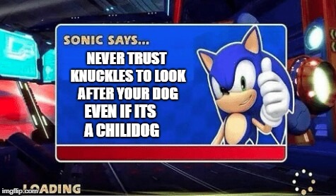 sonic says... meme | NEVER TRUST KNUCKLES TO LOOK AFTER YOUR DOG; EVEN IF ITS A CHILIDOG | image tagged in sonic says meme | made w/ Imgflip meme maker