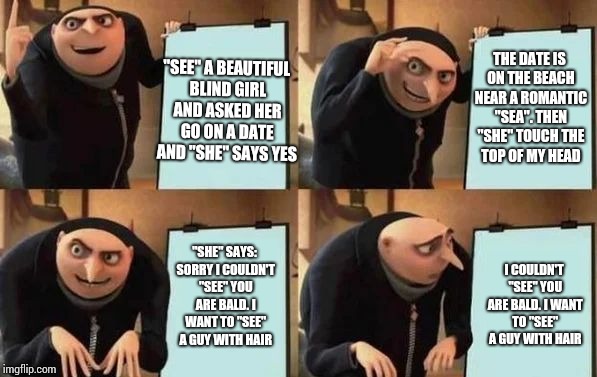 Gru's dating plan | "SEE" A BEAUTIFUL BLIND GIRL AND ASKED HER GO ON A DATE AND "SHE" SAYS YES; THE DATE IS ON THE BEACH NEAR A ROMANTIC "SEA". THEN "SHE" TOUCH THE TOP OF MY HEAD; "SHE" SAYS: SORRY I COULDN'T "SEE" YOU ARE BALD. I WANT TO "SEE" A GUY WITH HAIR; I COULDN'T "SEE" YOU ARE BALD. I WANT TO "SEE" A GUY WITH HAIR | image tagged in gru's plan,she see sea,date | made w/ Imgflip meme maker