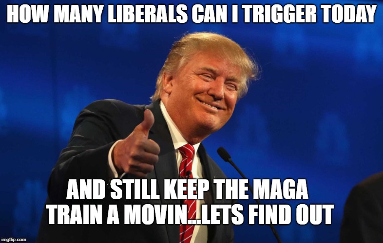 HOW MANY LIBERALS CAN I TRIGGER TODAY; AND STILL KEEP THE MAGA TRAIN A MOVIN...LETS FIND OUT | image tagged in trump,maga,stupid liberals | made w/ Imgflip meme maker