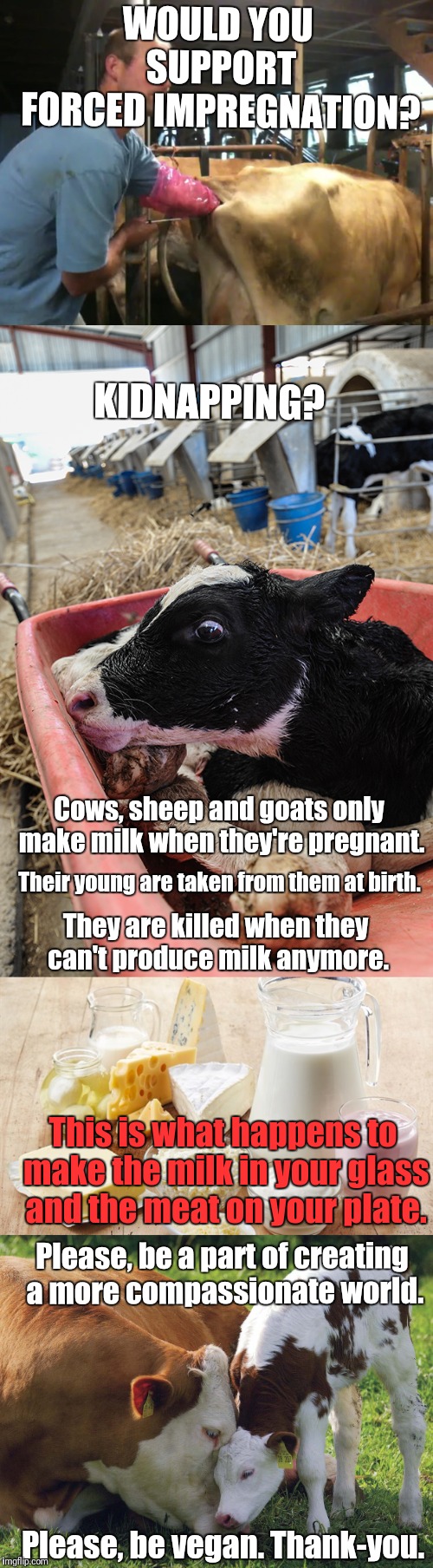 If it's not good enough for your eyes, is it good enough for your stomach? | WOULD YOU SUPPORT FORCED IMPREGNATION? KIDNAPPING? Cows, sheep and goats only make milk when they're pregnant. Their young are taken from them at birth. They are killed when they can't produce milk anymore. This is what happens to make the milk in your glass and the meat on your plate. Please, be a part of creating a more compassionate world. Please, be vegan.
Thank-you. | image tagged in dairy,milk,milkshake,cheese,cheeseburger,meat | made w/ Imgflip meme maker