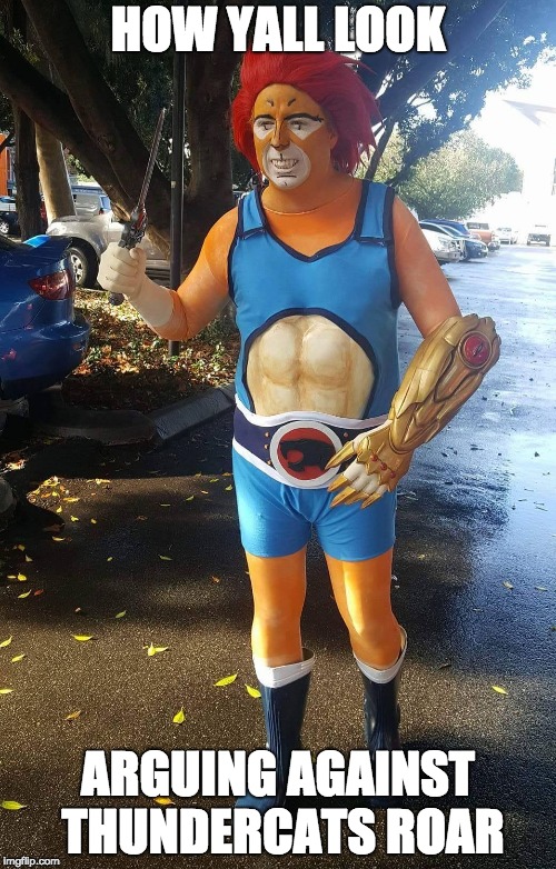 Angry Middle Age Fan doesn't think | HOW YALL LOOK; ARGUING AGAINST THUNDERCATS ROAR | image tagged in angry middle age fan doesn't think | made w/ Imgflip meme maker