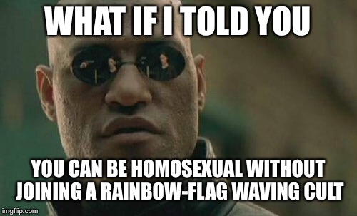 Matrix Morpheus Meme | WHAT IF I TOLD YOU; YOU CAN BE HOMOSEXUAL WITHOUT JOINING A RAINBOW-FLAG WAVING CULT | image tagged in memes,matrix morpheus | made w/ Imgflip meme maker