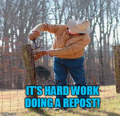 IT'S HARD WORK DOING A REPOST! | made w/ Imgflip meme maker