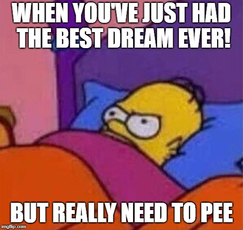 angry homer simpson in bed | WHEN YOU'VE JUST HAD THE BEST DREAM EVER! BUT REALLY NEED TO PEE | image tagged in angry homer simpson in bed | made w/ Imgflip meme maker