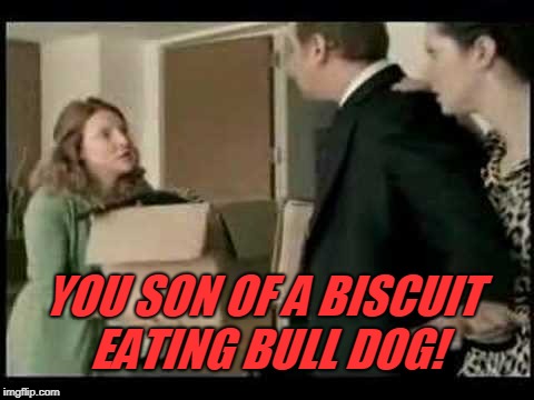 This was always the best commercial! I still get a good laugh out of it years later. Who remembers this? *Have a dirty mouth?* | YOU SON OF A BISCUIT EATING BULL DOG! | image tagged in orbit,memes,nixieknox,commercials,pickle you cumquat | made w/ Imgflip meme maker