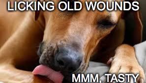 LICKING OLD WOUNDS MMM, TASTY | made w/ Imgflip meme maker