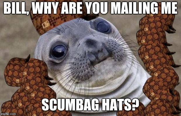 Steve the Sealion | BILL, WHY ARE YOU MAILING ME; SCUMBAG HATS? | image tagged in memes,awkward moment sealion,scumbag,bill | made w/ Imgflip meme maker