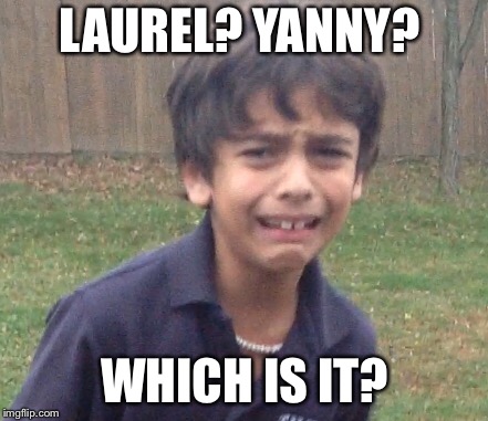 LAUREL? YANNY? WHICH IS IT? | image tagged in yanny,laurel | made w/ Imgflip meme maker