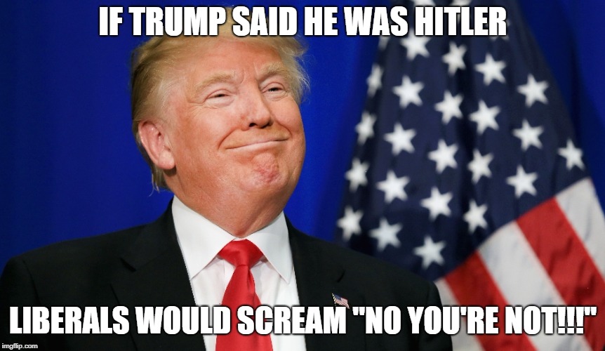 no you're not | IF TRUMP SAID HE WAS HITLER; LIBERALS WOULD SCREAM "NO YOU'RE NOT!!!" | image tagged in trump | made w/ Imgflip meme maker