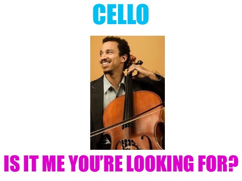 Cello | CELLO; IS IT ME YOU’RE LOOKING FOR? | image tagged in blank white template,memes | made w/ Imgflip meme maker