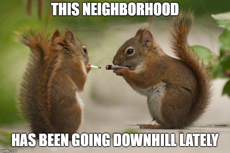 THIS NEIGHBORHOOD HAS BEEN GOING DOWNHILL LATELY | made w/ Imgflip meme maker