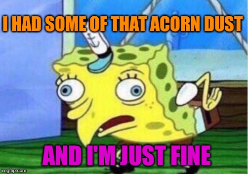Mocking Spongebob Meme | I HAD SOME OF THAT ACORN DUST AND I'M JUST FINE | image tagged in memes,mocking spongebob | made w/ Imgflip meme maker
