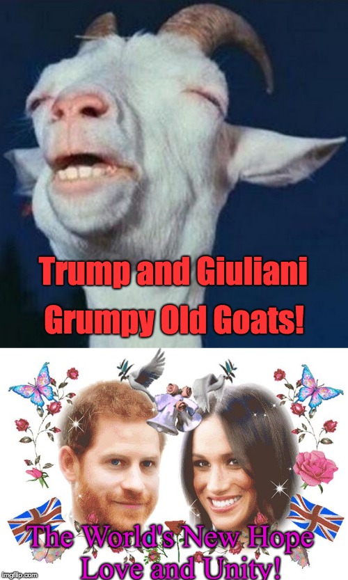 Trump and Giuliani - GRUMPY OLD GOATS - time for LOVE AND UNITY! | Trump and Giuliani; Grumpy Old Goats! The World's New Hope   Love and Unity! | image tagged in trump,rudy giuliani,royal wedding,love,unity,world peace | made w/ Imgflip meme maker