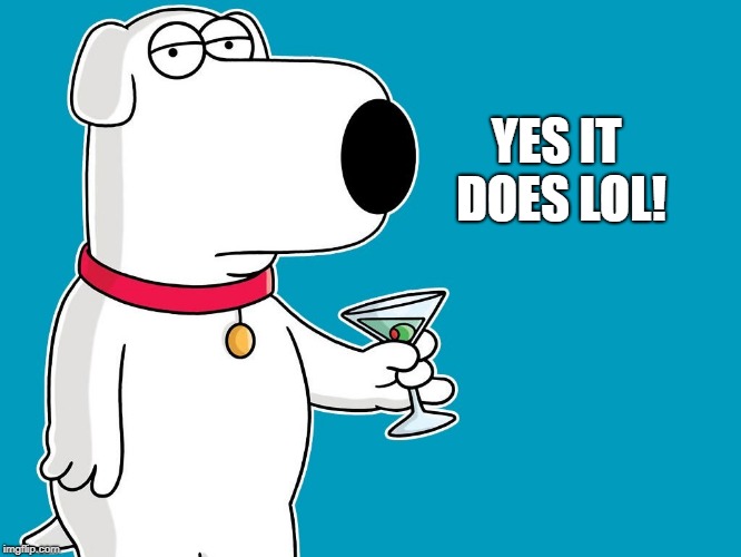 dog | YES IT DOES LOL! | image tagged in dog | made w/ Imgflip meme maker
