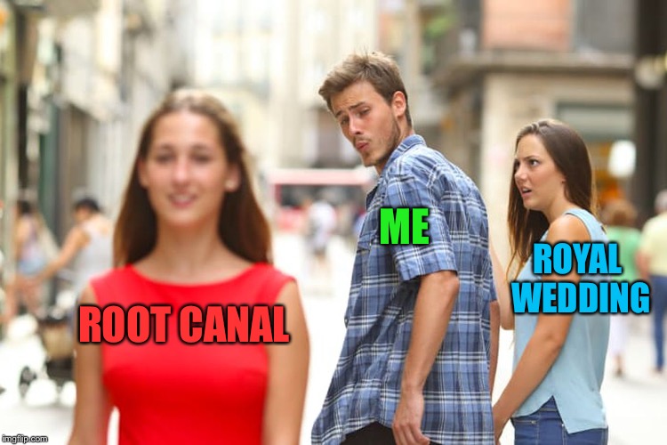 Distracted Boyfriend Meme | ME; ROYAL WEDDING; ROOT CANAL | image tagged in memes,distracted boyfriend | made w/ Imgflip meme maker