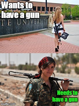 Wants & Needs | Wants to have a gun; Needs to have a gun | image tagged in gun control,guns,first world problems,third world problems,memes | made w/ Imgflip meme maker